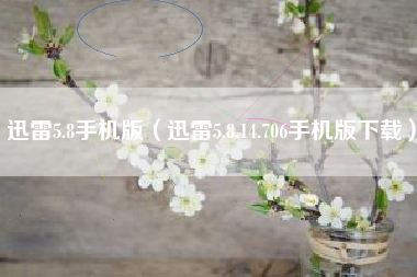 迅雷5.8手机版（迅雷5.8.14.706手机版下载）