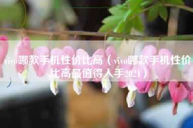 vivo哪款手机性价比高（vivo哪款手机性价比高最值得入手2021）