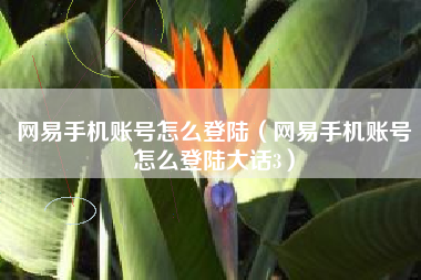 网易手机账号怎么登陆（网易手机账号怎么登陆大话3）