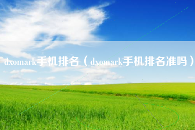dxomark手机排名（dxomark手机排名准吗）