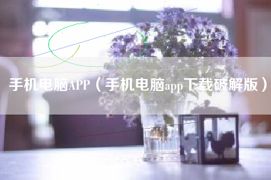 手机电脑APP（手机电脑app下载破解版）