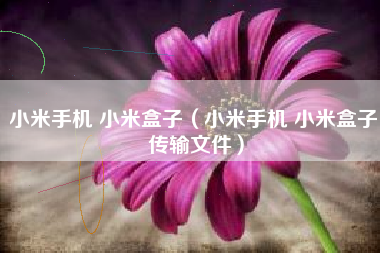 小米手机 小米盒子（小米手机 小米盒子 传输文件）