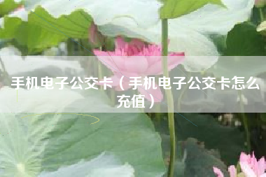 手机电子公交卡（手机电子公交卡怎么充值）