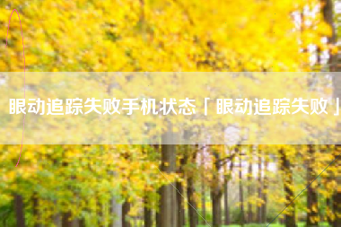 眼动追踪失败手机状态「眼动追踪失败」