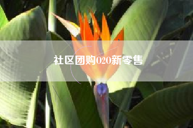 社区团购O2O新零售