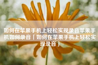 如何在苹果手机上轻松实现录音苹果手机如何录音「如何在苹果手机上轻松实现录音」
