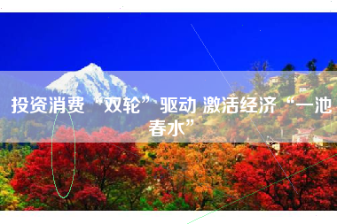 投资消费“双轮”驱动 激活经济“一池春水”